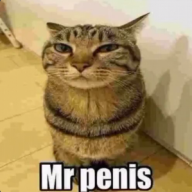 cf19